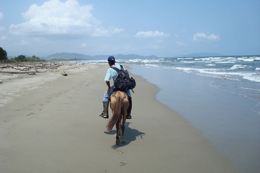 Playa La Playona, Acandí