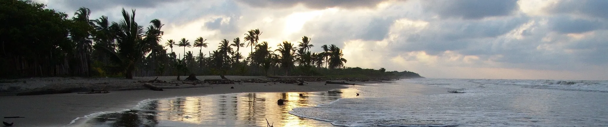 Palmeras y mar en las playas de San Juan de Urabá