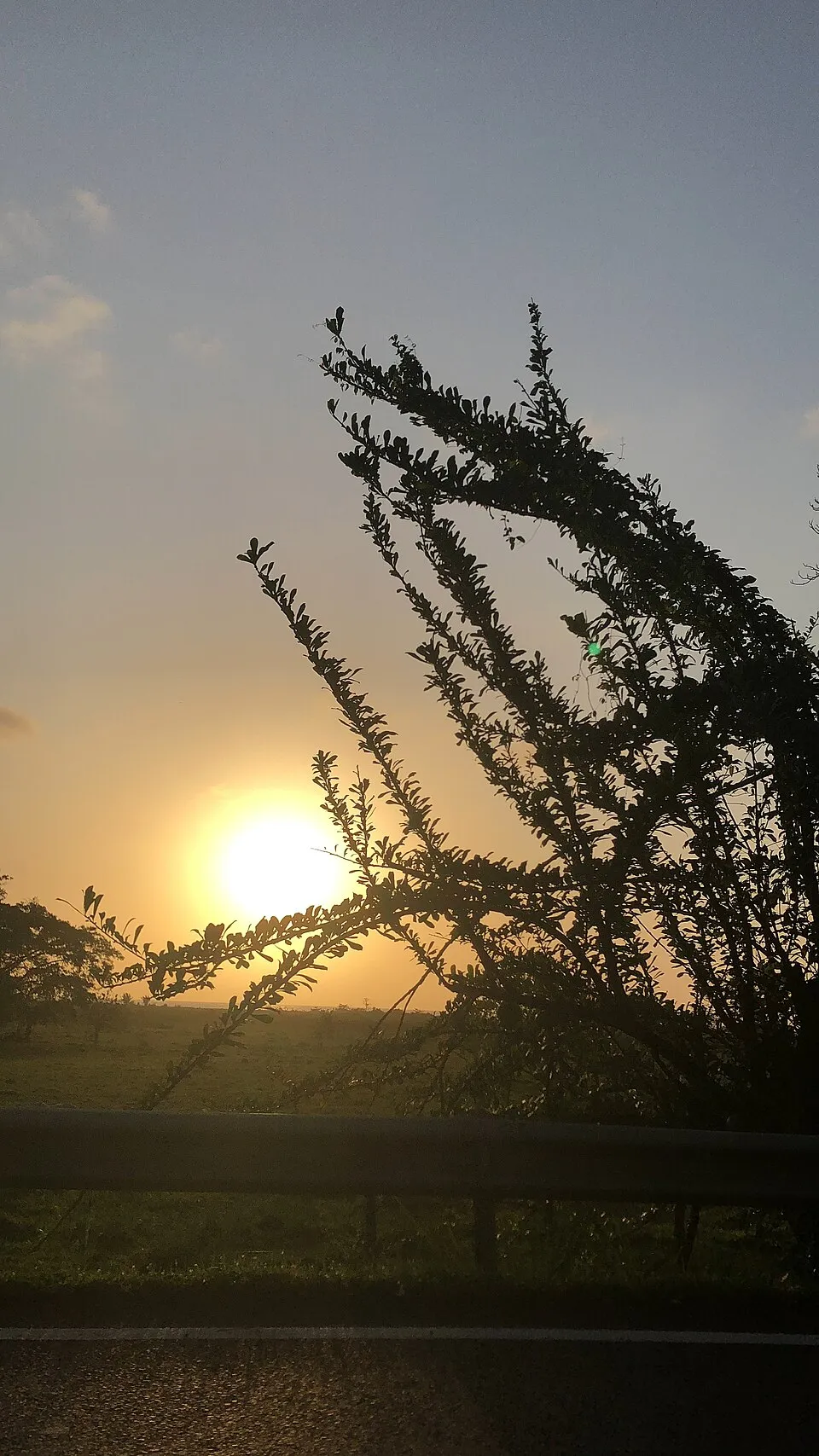 Atardecer sobre la vía entre Necoclí y Casa Blanca